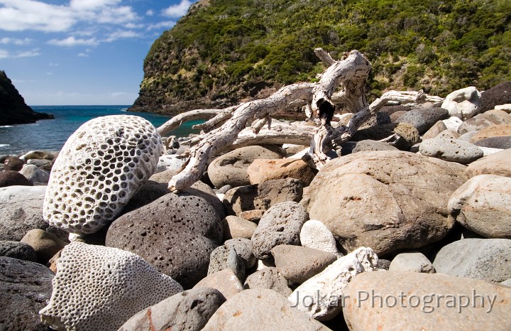 Lord Howe Island_20061209_173.jpg